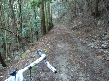 画像11