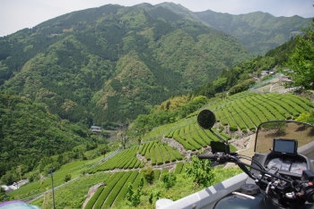 画像15