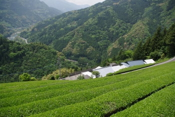 画像17
