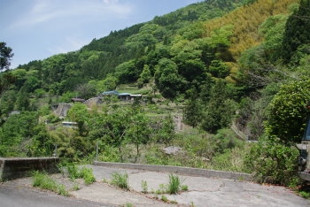 画像21
